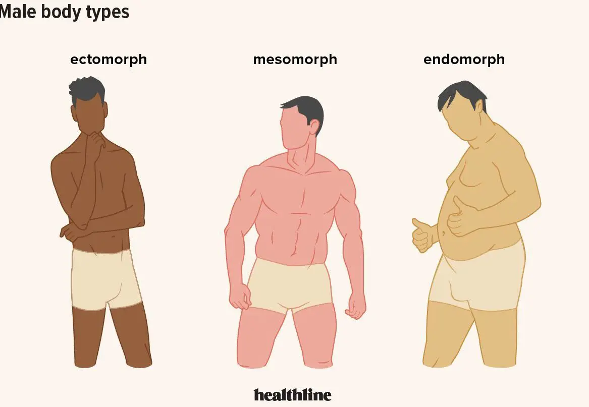 Tipos de cuerpo masculino: definiciones y lo que pueden significar
