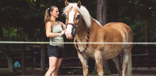 Dominar el cuidado equino: Prueba tus conocimientos sobre caballos - Trivia ...