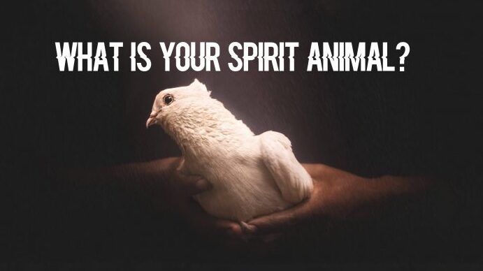 ¿Alguna vez te has preguntado quién es tu animal espiritual...?