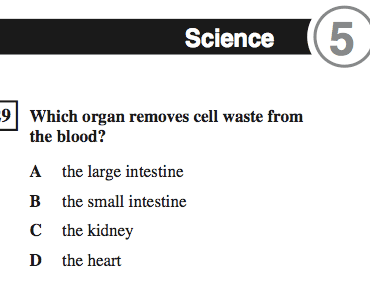 9 ideas de ciencias para quinto grado |