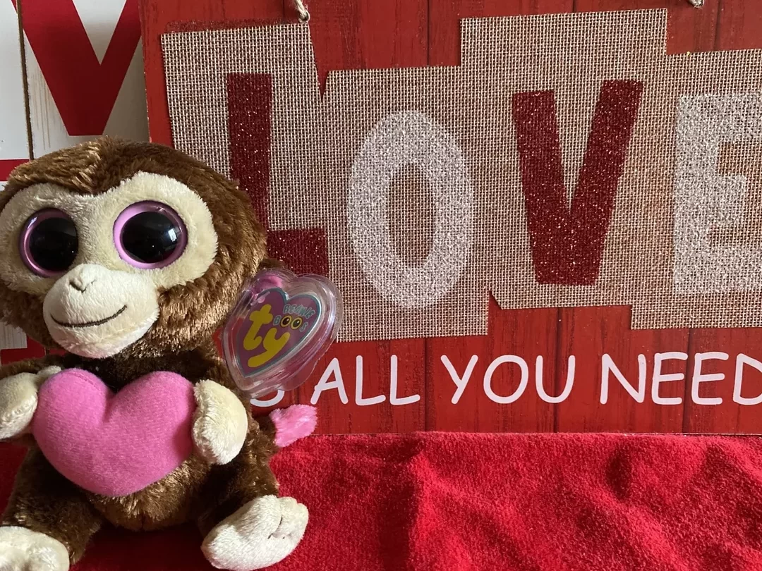 ¿Qué Beanie Boo eres? ¿Qué gorro boo eres?
