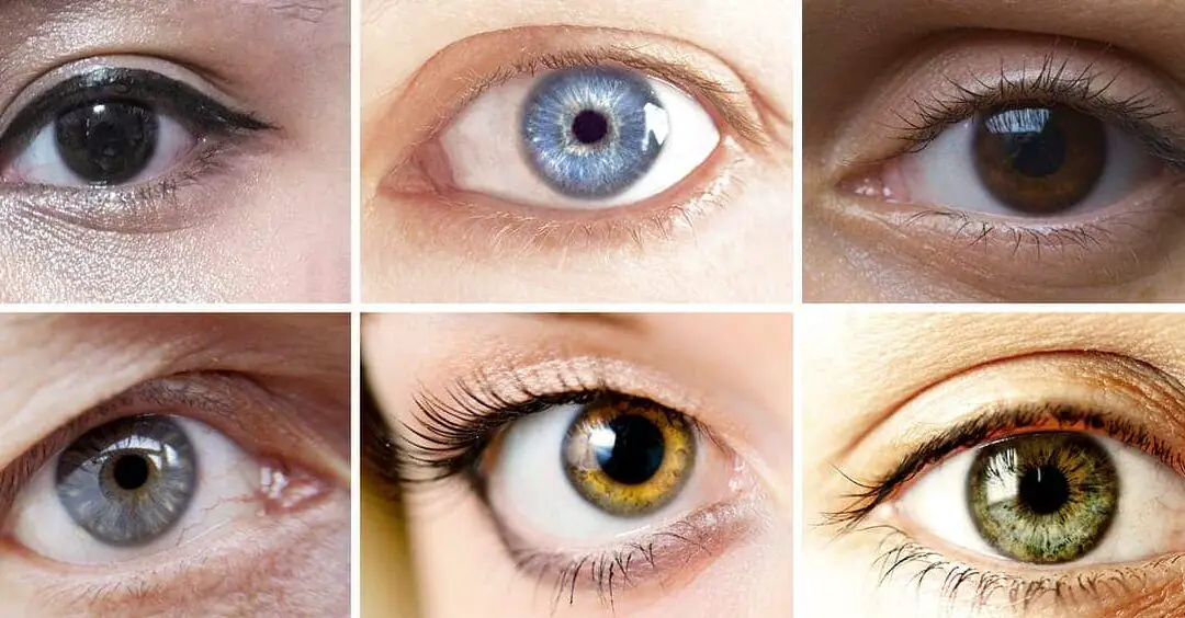 Cómo se determina el color de ojos: del marrón al azul