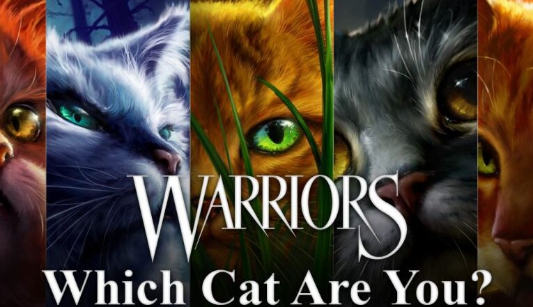 Cuestionario sobre gatos guerreros: ¿Cuál de 10 gatos es igual a ti?