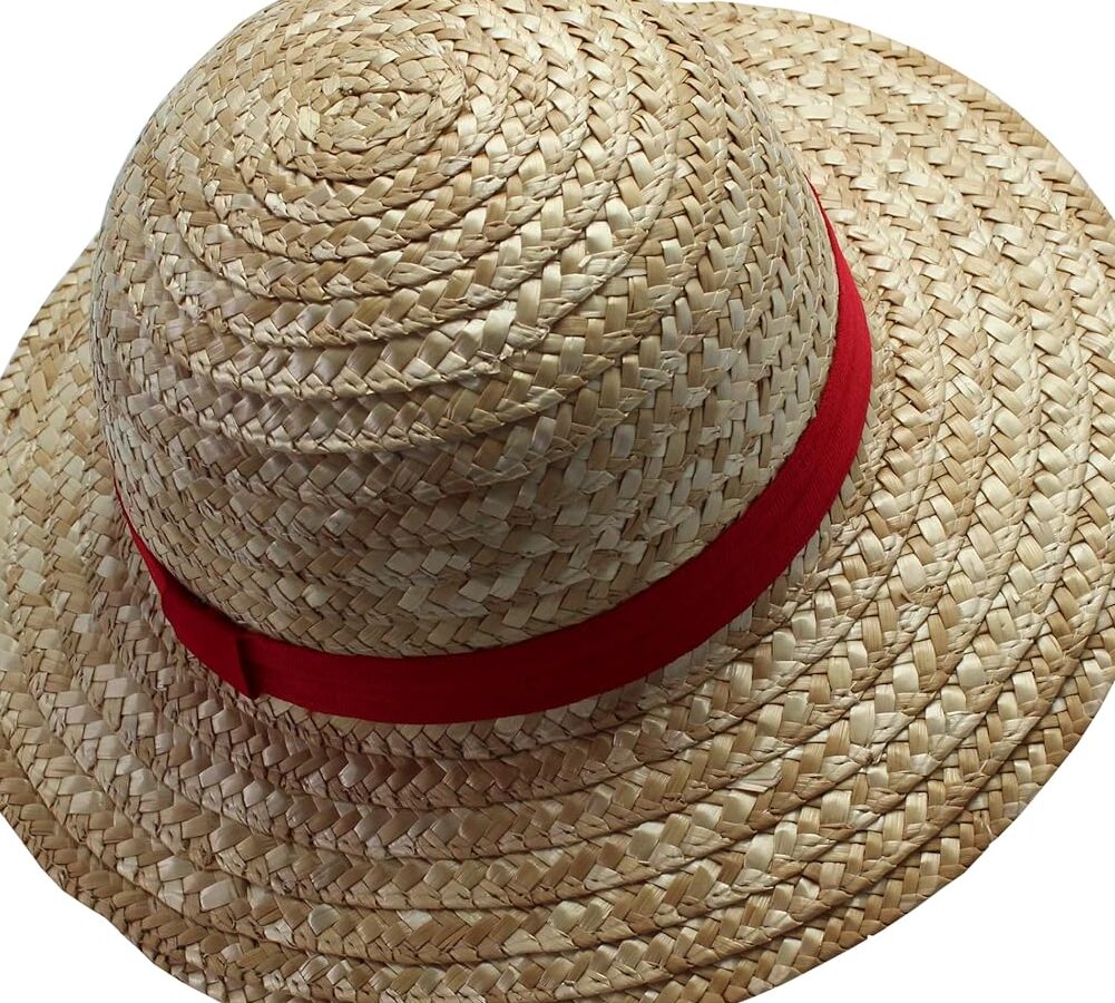 ¿Qué pirata de Sombrero de Paja eres? ¡Prueba! ¿Qué personaje de One Piece eres?